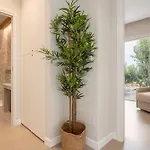 Вилла Picahouse Luxury *